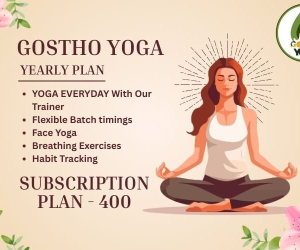 Subscription Plan 400 (No Live Class)